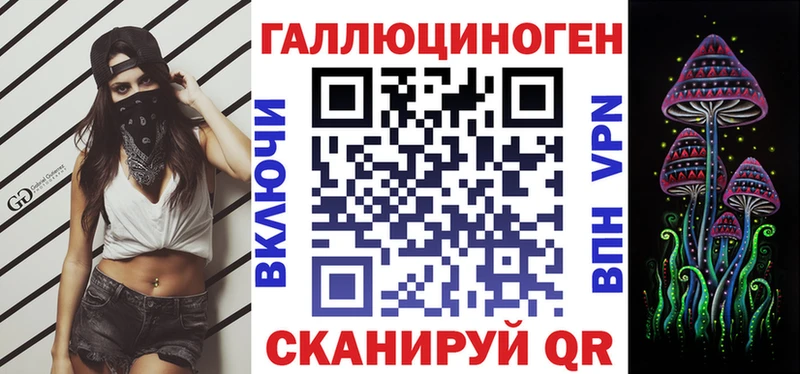 Купить где  Карабаш  Псилоцибиновые грибы Psilocybine cubensis 