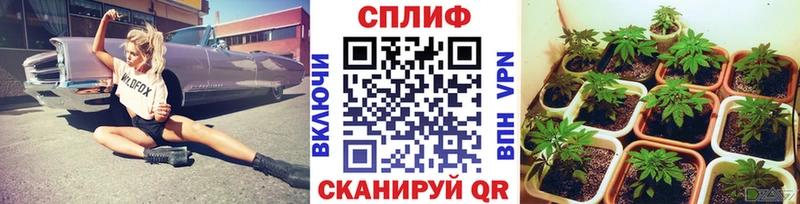 Купить где  Карабаш  МАРИХУАНА AK-47 
